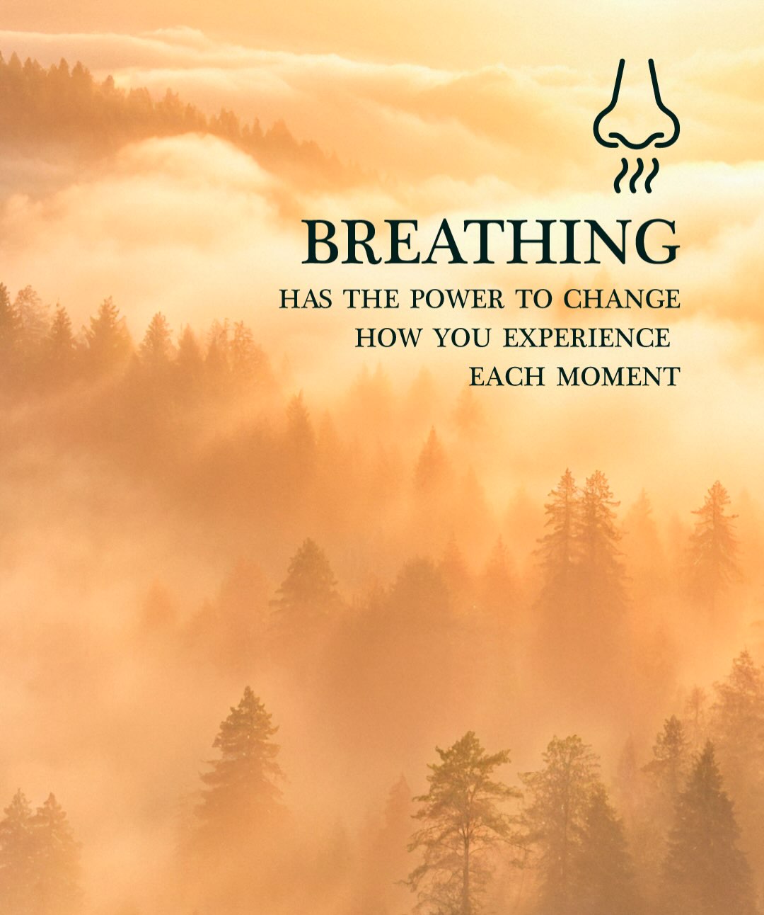 Studio note on taking a moment to breathe before class